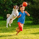 A young boy and his dog are playing and running around outside in the grass with a small orange basketball.