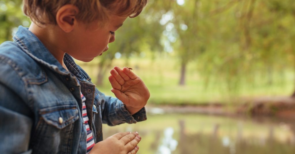 A little boy standing outdoors near a lake, holding a ladybug on the side of his palm and looking down at it.