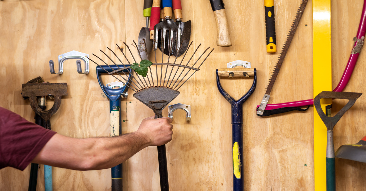 A person is grabbing a rake that is hanging on a wooden wall of an organized shed. Other tools appear around the rake.