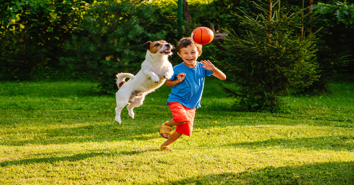 A boy runs on grass as a small dog leaps beside him toward a ball in the air. Trees and shrubs are in the background.